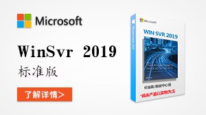  Windows Server 2019 标准版