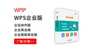  WPS企业版