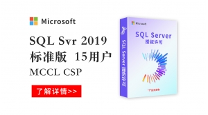  sqlSvr 2019 标准版15用户 MCCL CSP