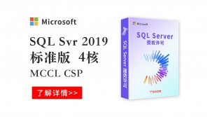  sqlSvr 2019 标准版4核心 MCCL CSP