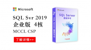  sqlSvr 2019 企业版4核心 MCCL CSP